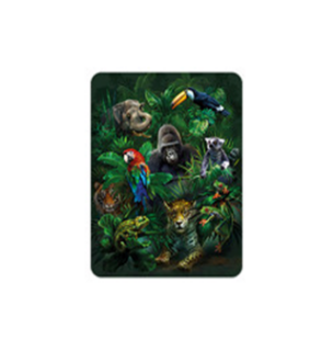 Obrázek z Magnet 3D 7x9cm - džungle (25) 